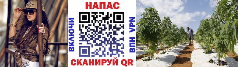Марихуана THC 21%  Чулым 